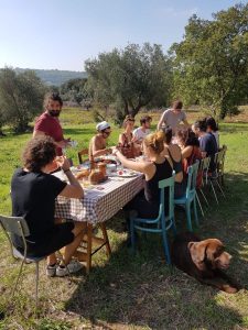 Piantum:gestAreaVerde10