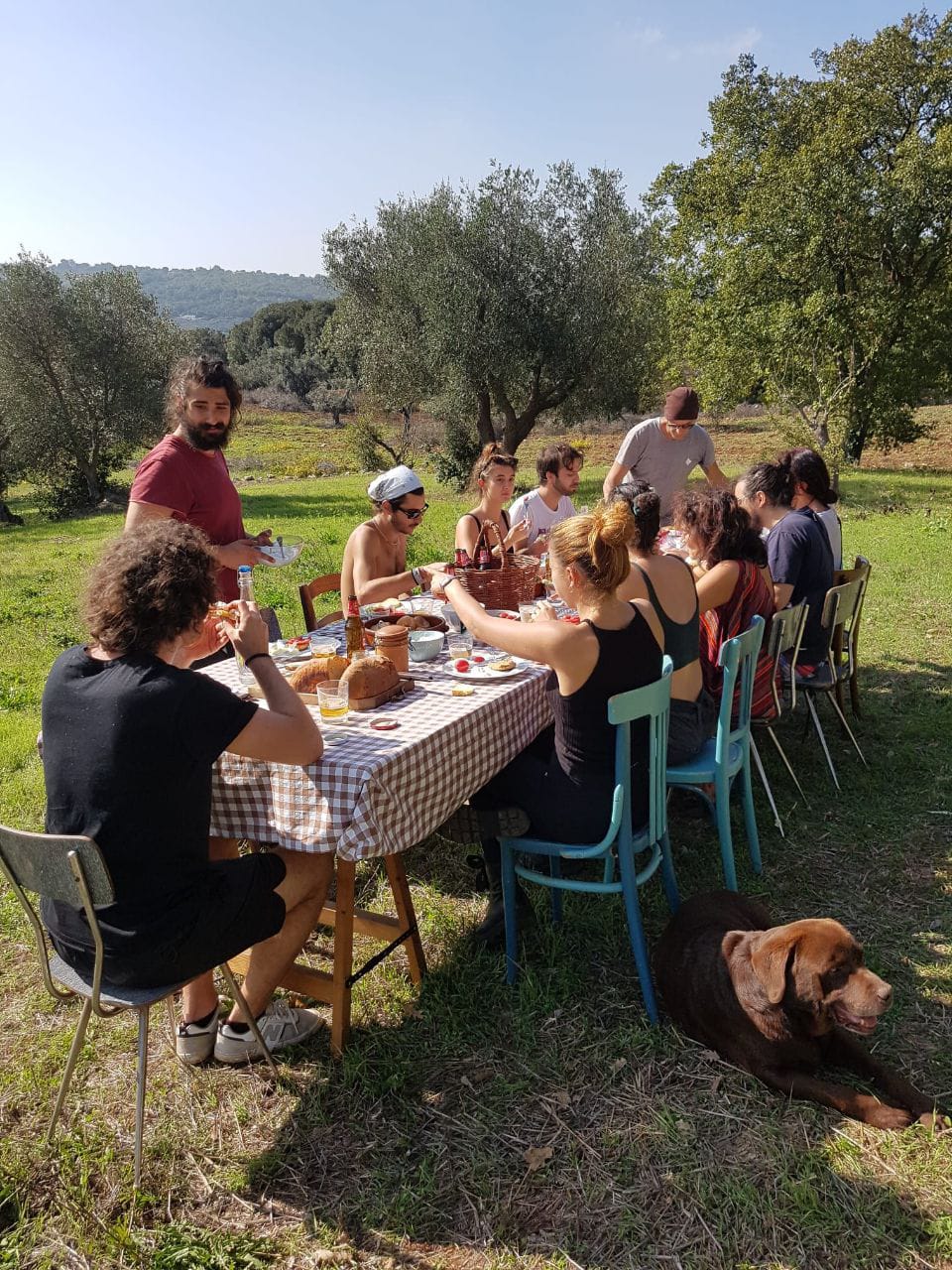 Piantum:gestAreaVerde10