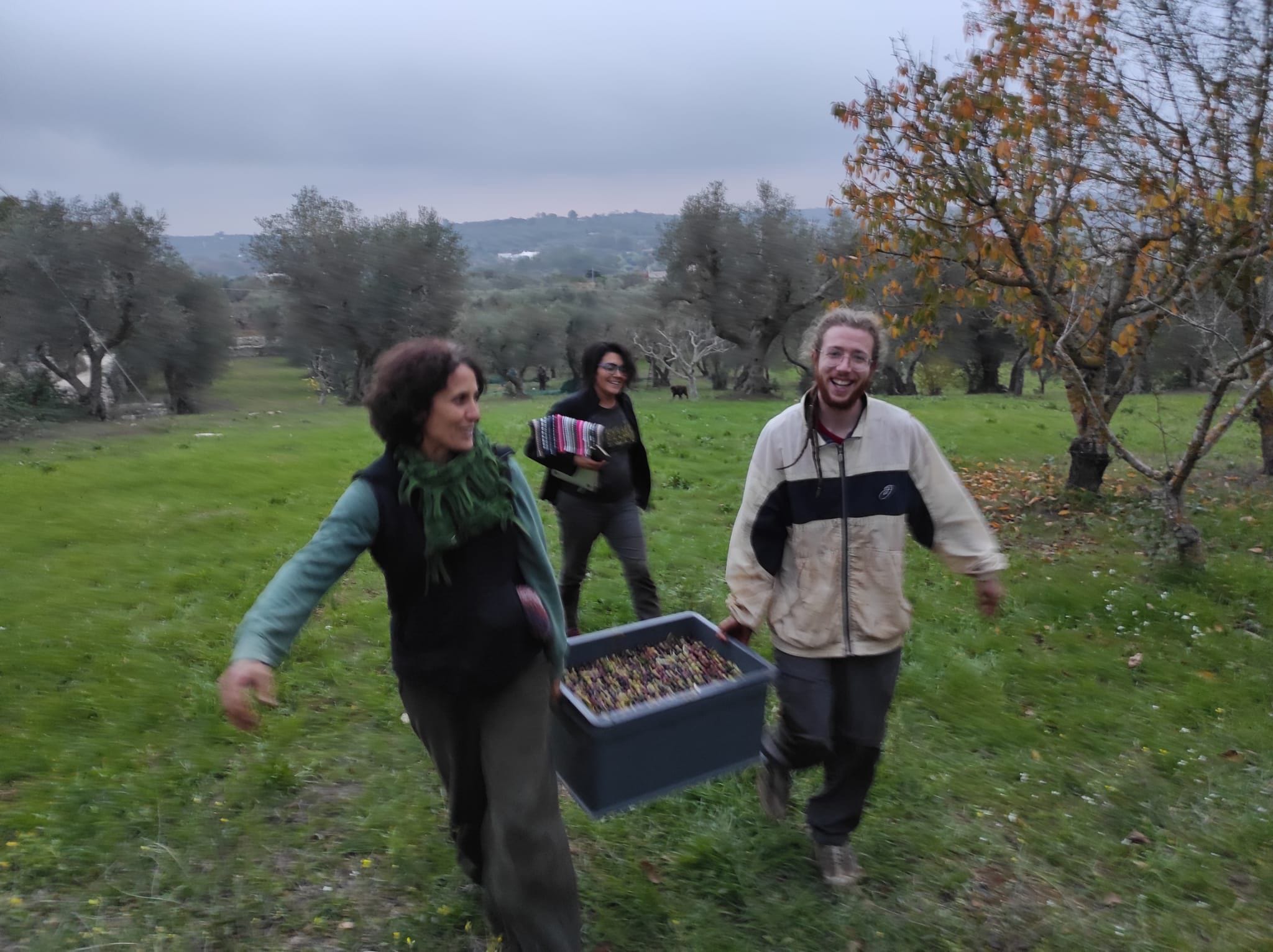 Piantum:gestAreaVerde12