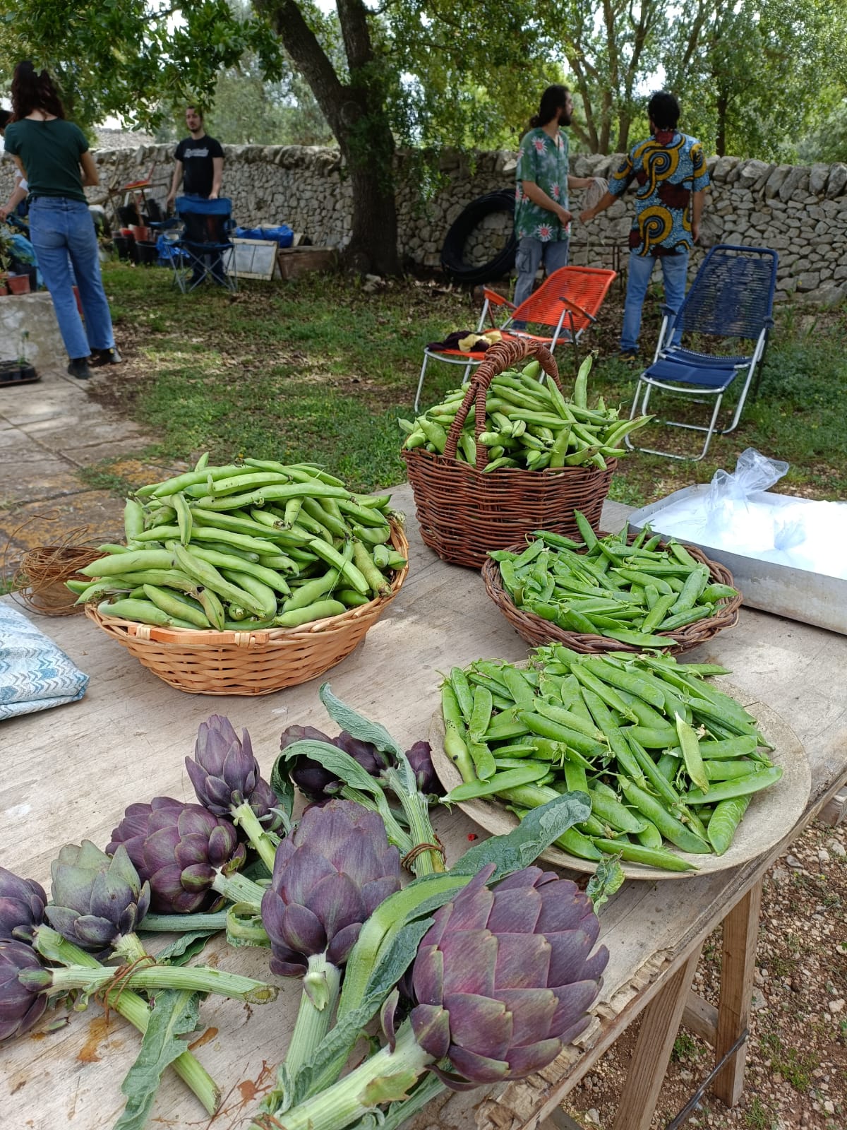 Piantum:gestAreaVerde7