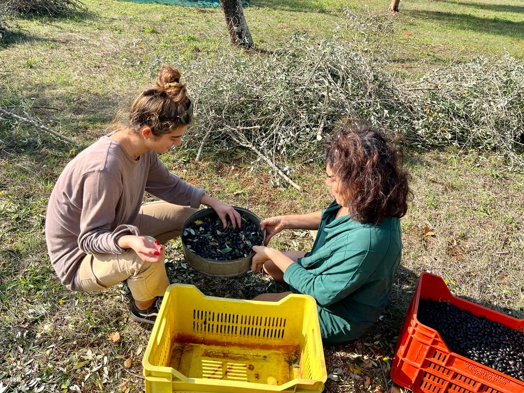 Piantum:gestAreaVerde9